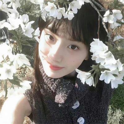 直言真相第三季