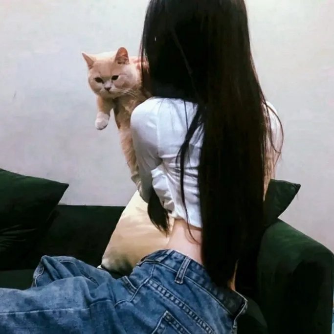 不必要的客人